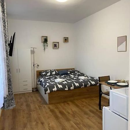 Cozy 1 Bedroom Studio In The Center Of Pilsen Eksteriør billede