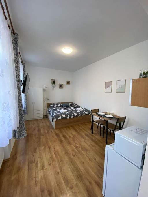 Cozy 1 Bedroom Studio In The Center Of Pilsen Eksteriør billede