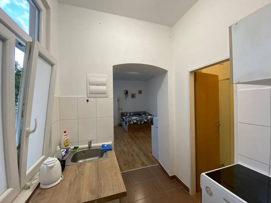 Cozy 1 Bedroom Studio In The Center Of Pilsen Eksteriør billede