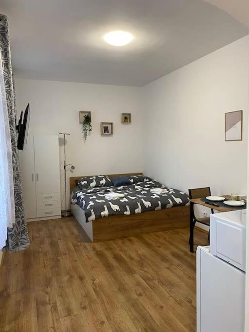 Cozy 1 Bedroom Studio In The Center Of Pilsen Eksteriør billede