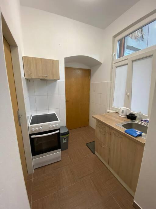 Cozy 1 Bedroom Studio In The Center Of Pilsen Eksteriør billede